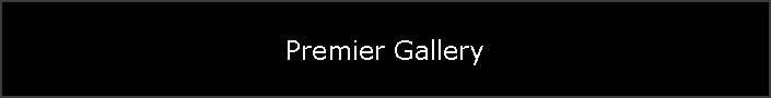 Premier Gallery
